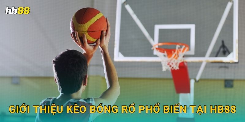 Giới thiệu kèo Bóng rổ phổ biến tại Hb88