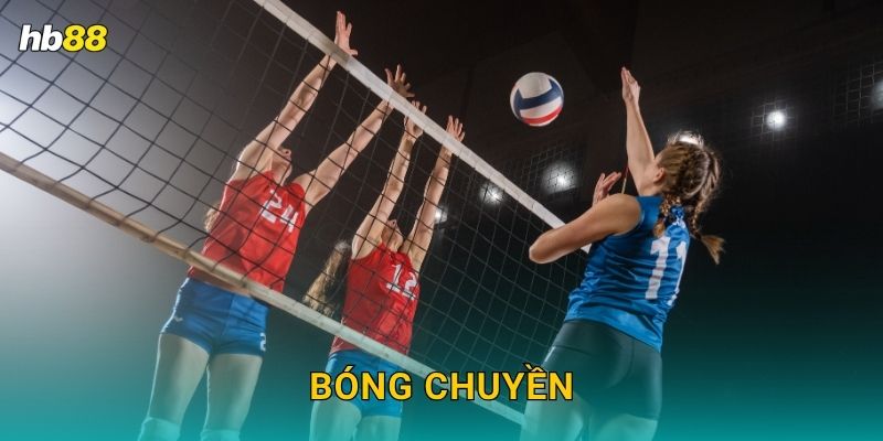 Bóng chuyền nhanh gọn – Cược từng set hấp dẫn tại Hb88