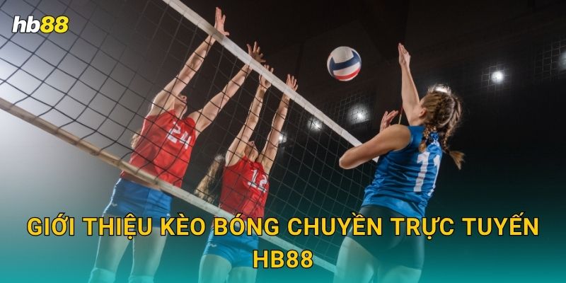 Giới thiệu kèo Bóng chuyền trực tuyến Hb88