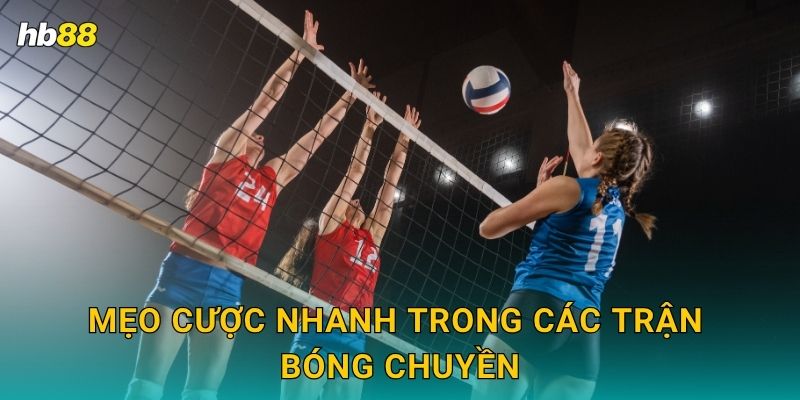 Mẹo cược nhanh trong các trận Bóng chuyền