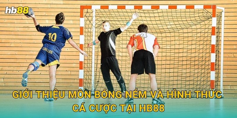 Giới thiệu môn Bóng ném và hình thức cá cược tại Hb88