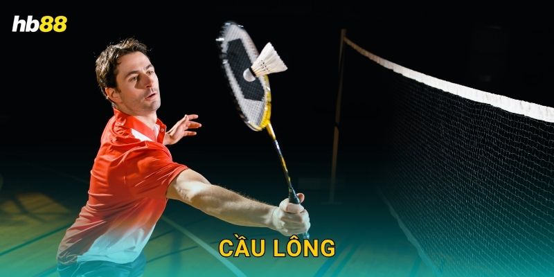 Cầu lông hấp dẫn – Tỷ lệ cược cực ưu đãi tại Hb88