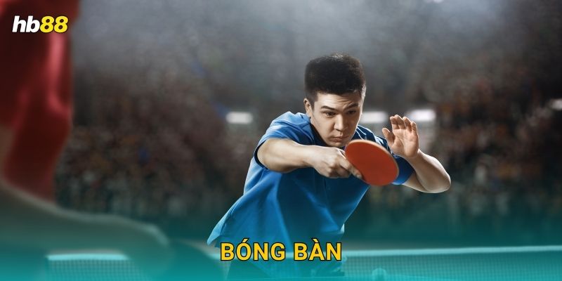 Bóng bàn chiến thuật – Giành ưu thế kèo nhanh tại Hb88
