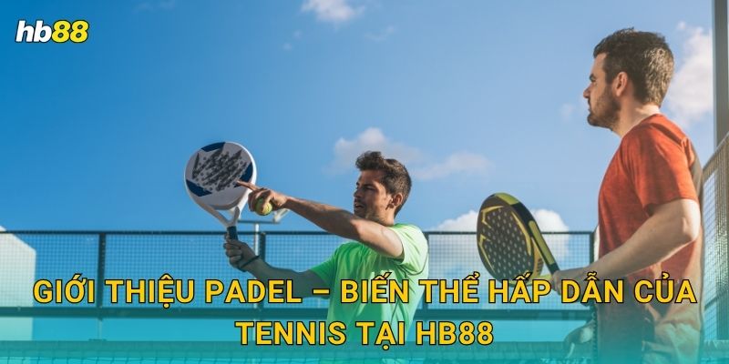 Giới thiệu Padel – Biến thể hấp dẫn của Tennis tại Hb88