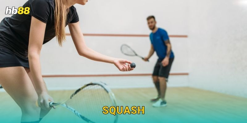 Squash an toàn – Sảnh thể thao chuẩn quốc tế tại Hb88
