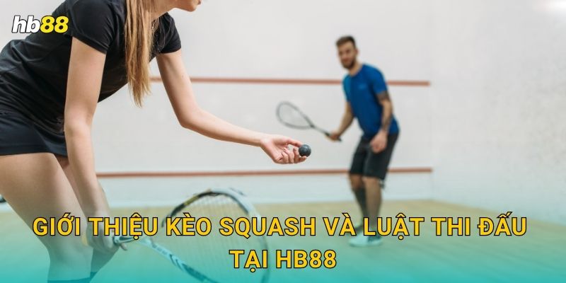 Giới thiệu kèo Squash và luật thi đấu tại Hb88