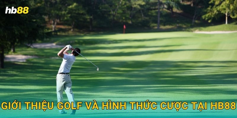 Giới thiệu Golf và hình thức cược tại Hb88