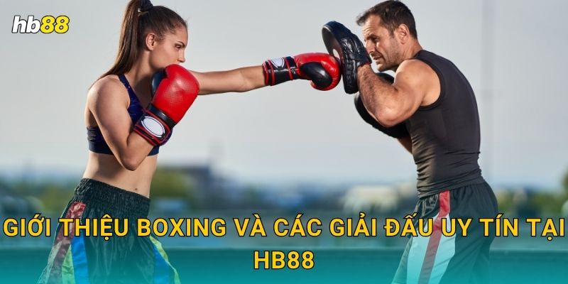 Giới thiệu Boxing và các giải đấu uy tín tại Hb88