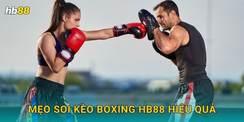 Mẹo soi kèo Boxing Hb88 hiệu quả