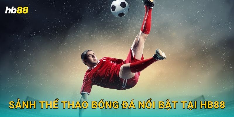 Sảnh thể thao Bóng đá nổi bật tại Hb88