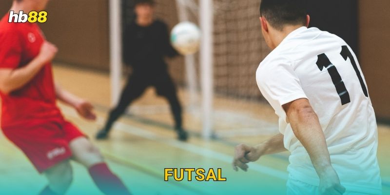 Futsal: Nguồn gốc trong nhà – Cược linh hoạt tại Hb88